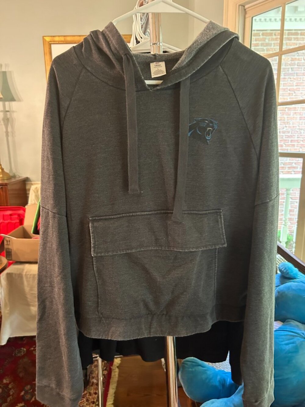 NFL Carolina Panthers Women’s Gray Hooded Lounge Top L
